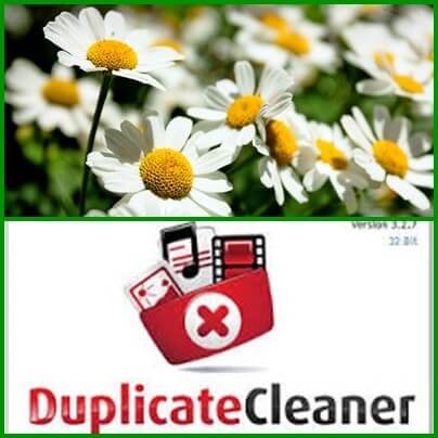 duplicate cleaner
